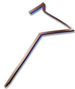 Coyote Gold to Right Logo