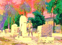 Coyote self-portrait